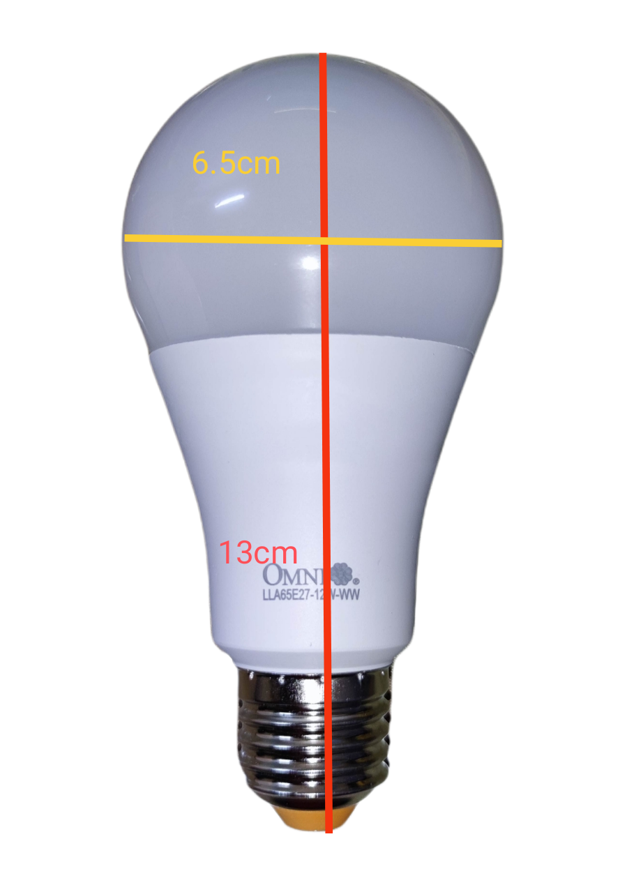 Omni 12W LED Bulb E27 220V A65 Available Warm White