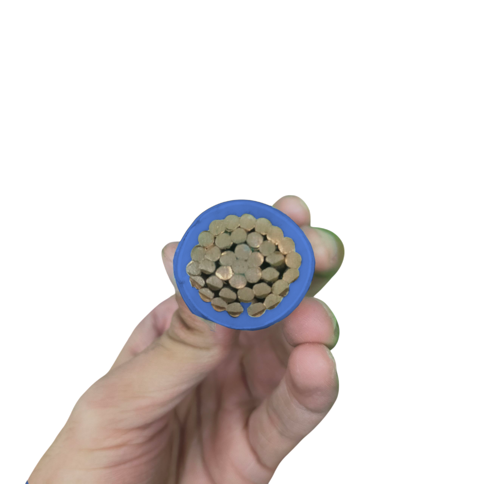 400mm THHN Stranded Wire - blue with a detailed view of the copper strands inside