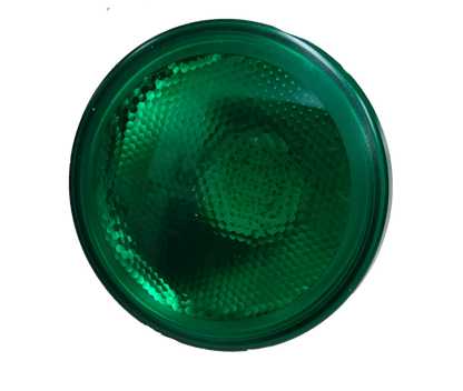 Omni 15W PAR 38 E27 220V Green LPR38E27-15W/G, LED PAR 38 15W E27 220V Green