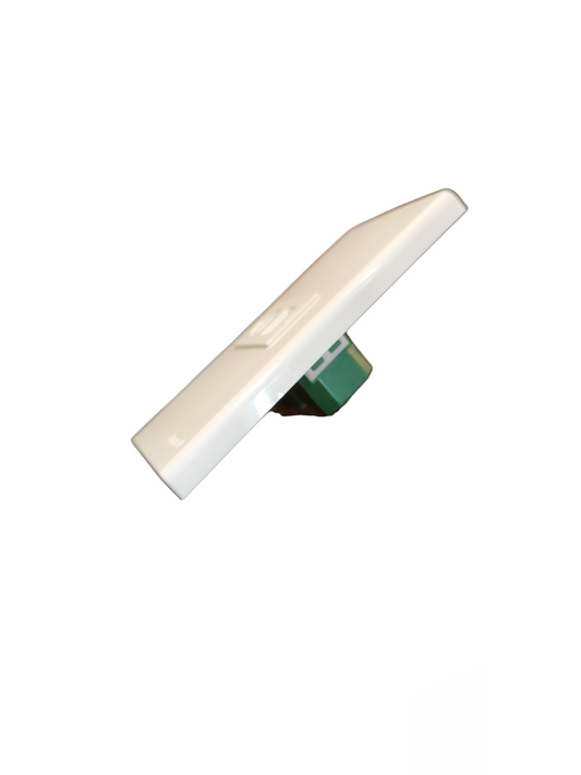 Omni 1 Gang Flat Pin Outlet 15A 250V with Plate WWP-110+WWR-200