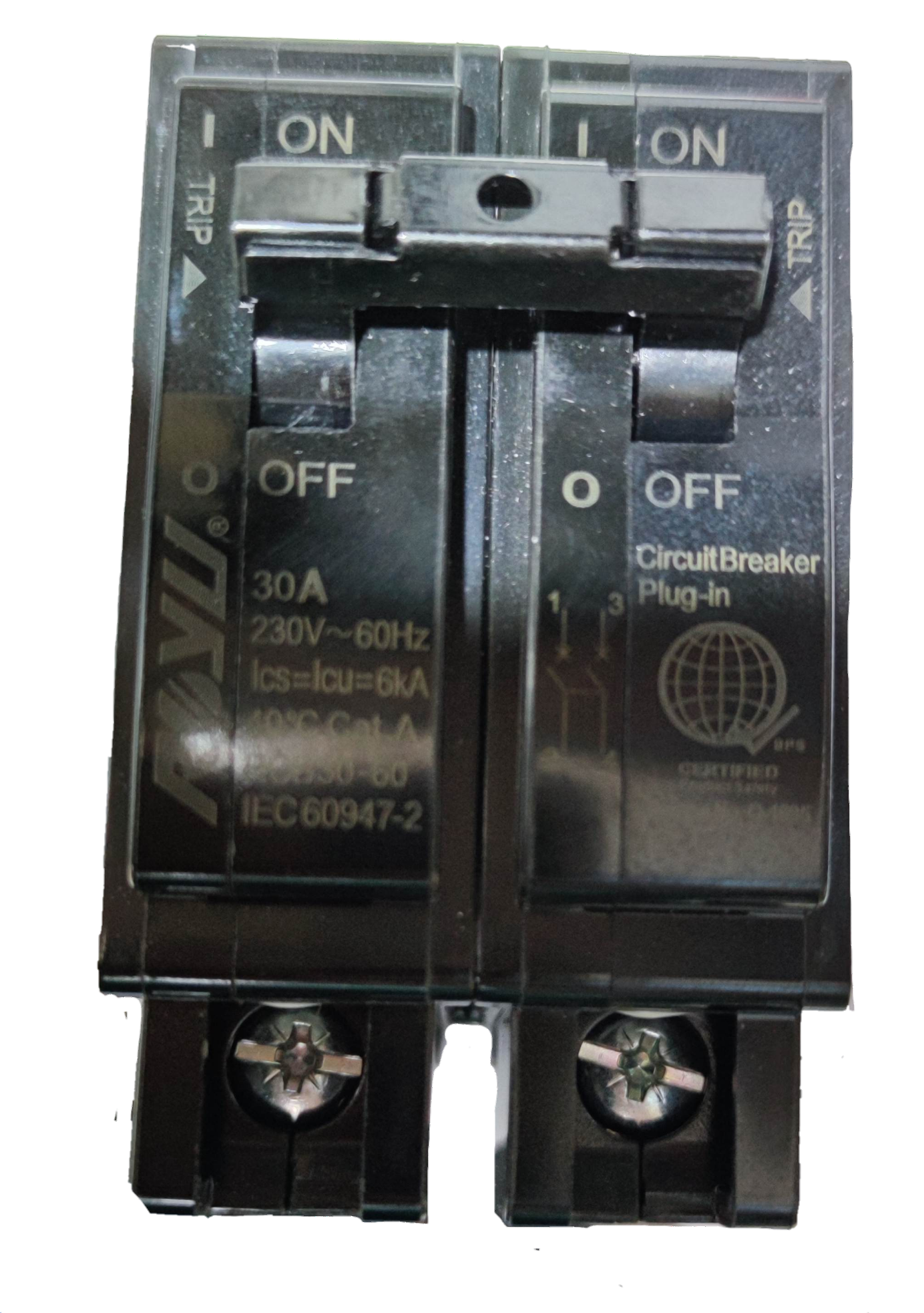 Royu 30A Circuit Breaker 2pole Plug In 6 KAIC 220V