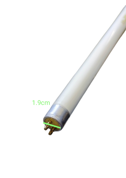 Denko 8W T5 UV fluorescent tube close-up showing pins and end cap on black background