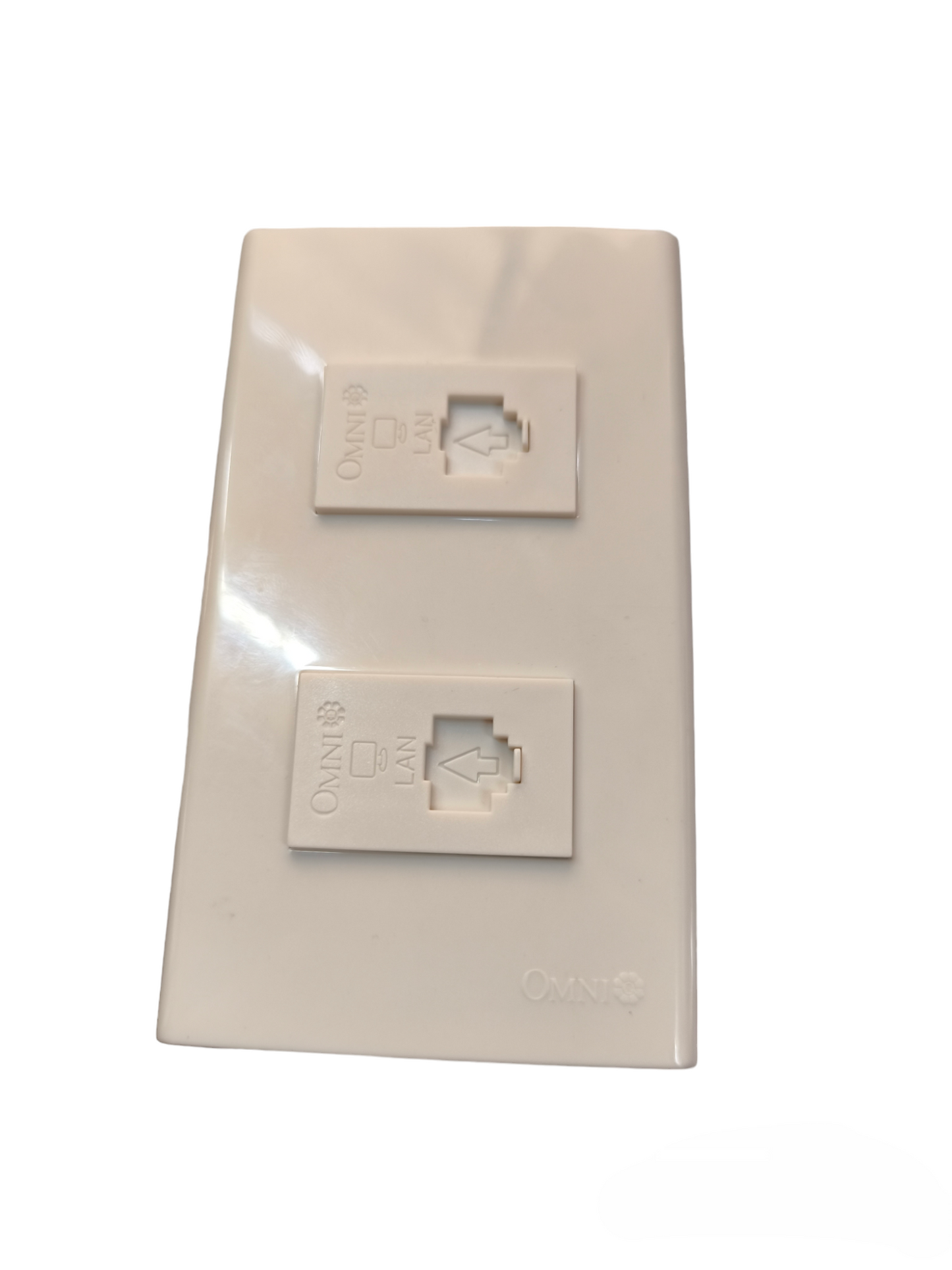 Omni 2 Gang LAN Outlet with Plate WWP-112+(WWC-303x2)
