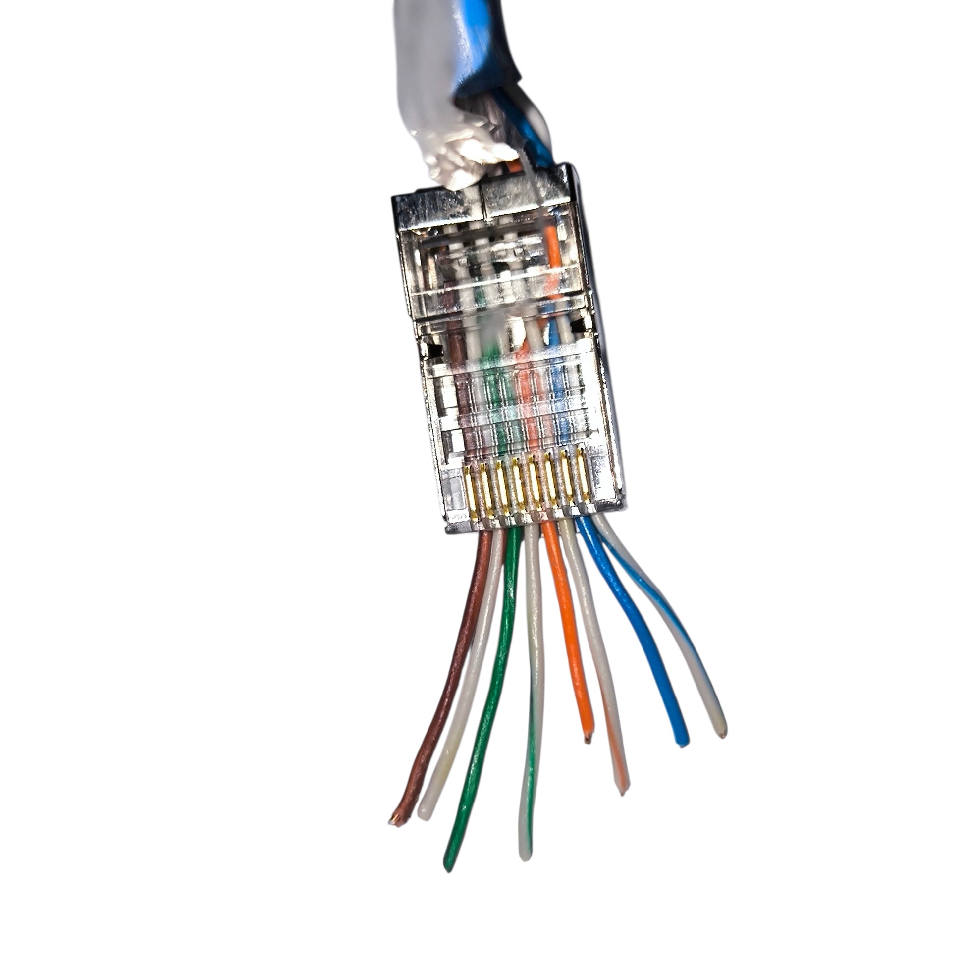 Close-up of a network cable connector with colored wires on a white background