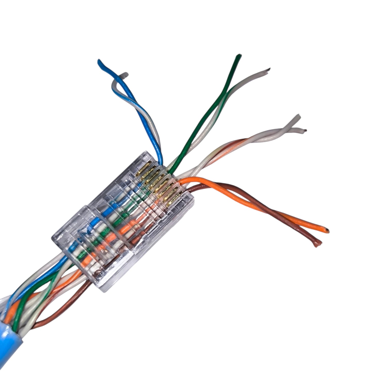 Close-up of a network cable connector with multicolored wires on a white background AMP CAT6 RJ45 Connector Pass Through Type Electx Electrical Supply