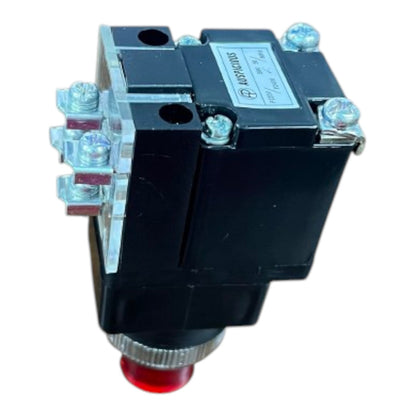 Auspicious_25mm_Illuminated_Push_Button_Switch_With_Indicator_220V_LPBT25R_Electx_Electrical_Supply_1