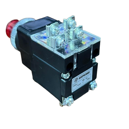 Auspicious 25mm Illuminated Push Button Switch With Indicator 220V LPBT25R