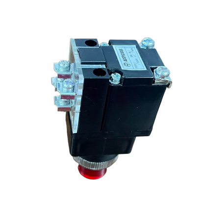 Auspicious 25mm Illuminated Push Button Switch With Indicator 220V LPBT25R