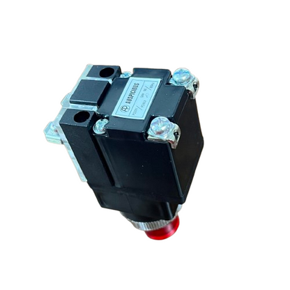 Auspicious 25mm Illuminated Push Button Switch With Indicator 220V LPBT25R