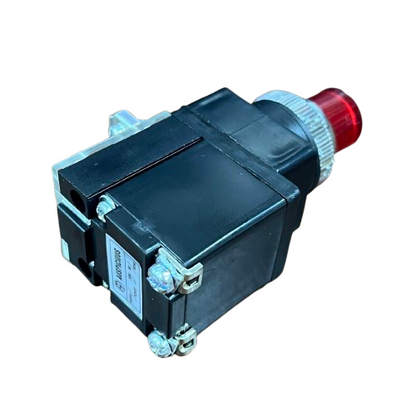 Auspicious 25mm Illuminated Push Button Switch With Indicator 220V LPBT25R