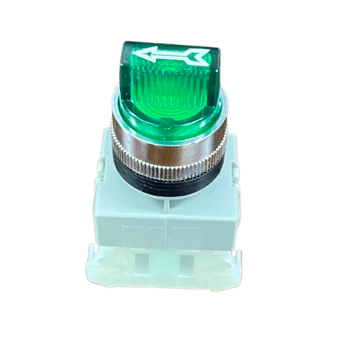 Auspicious Illuminated Selector Switch 22mm Green 2 Position 3A 220V