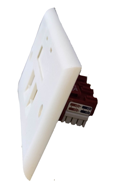 Belkin 2 gang Cat 6 LAN outlet with white faceplate and network cable connectors