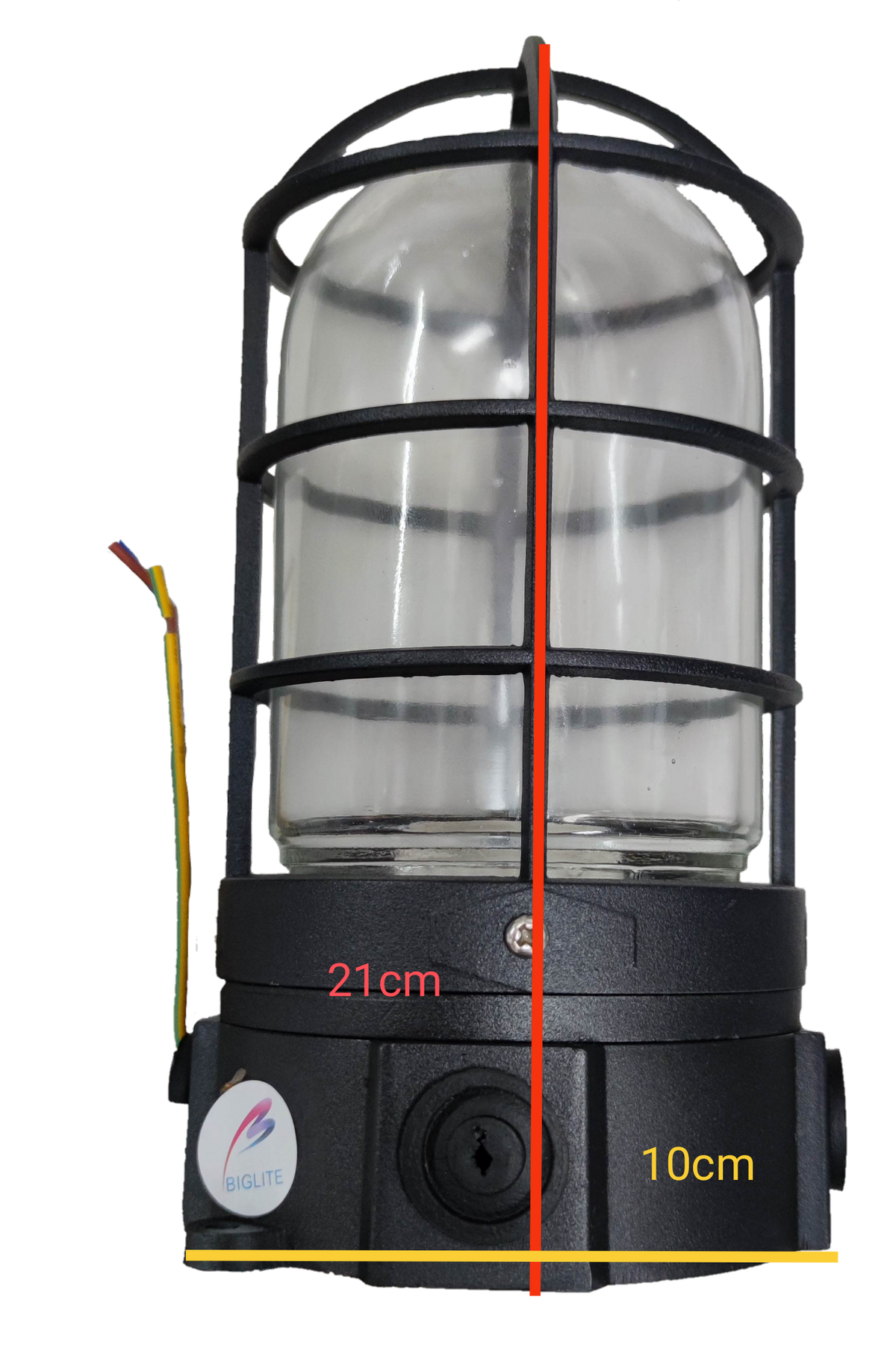 Biglite vapor proof lamp fixture with durable protective cage and clear glass enclosure for wet environments