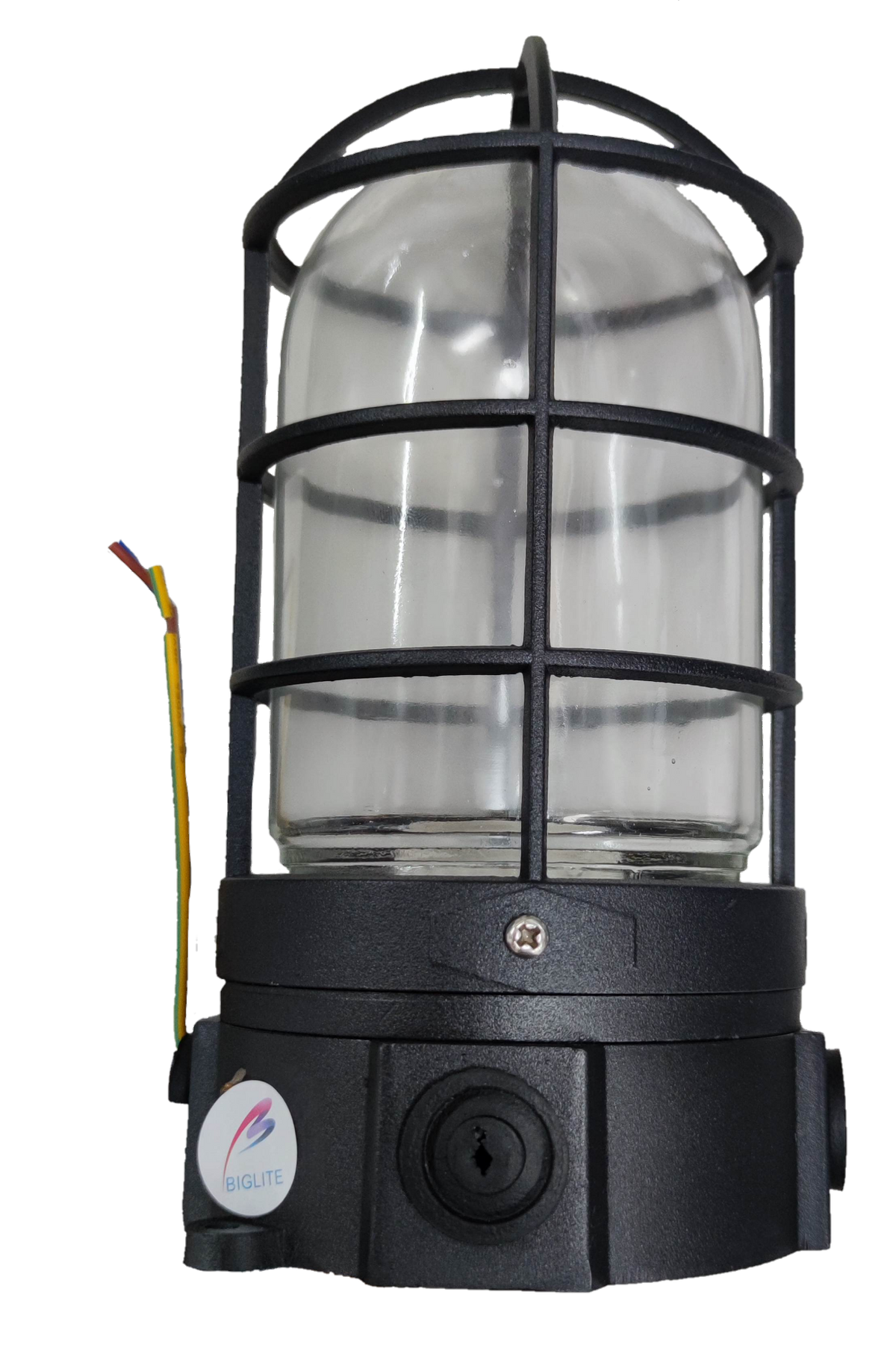 Biglite vapor proof lamp fixture with protective black metal cage and clear glass cover for lighting installation