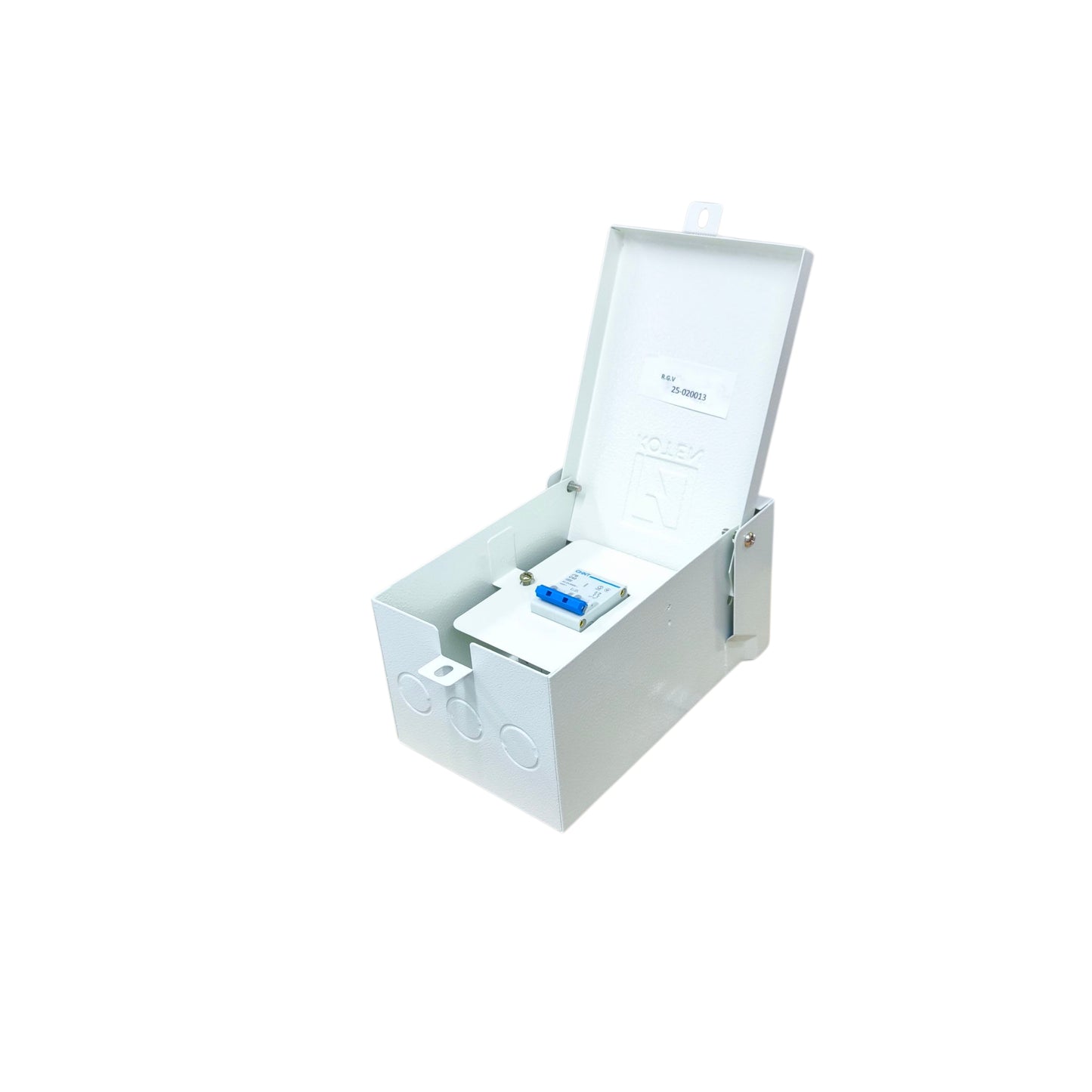 Chint 40A 2P 4.5KAIC 220V Miniature Circuit Breaker with Nema 3r Enclosure Outdoor EB2PC404.5KA