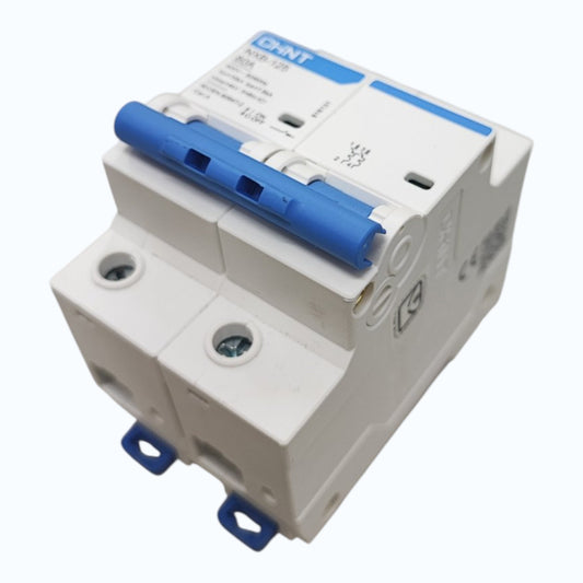 Chint NXB-125 80A 2Pole Single Phase 10 KAIC 220V Miniature Circuit Breaker DIN Rail Type MCB