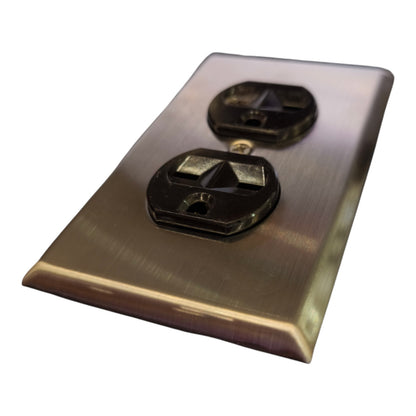 A brushed nickel double outlet electrical panel cover plate with black plastic sockets, shown at an angle on a white background.