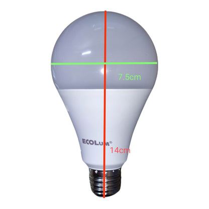 LED light bulb with measurement lines and Ecolum branding on a white background