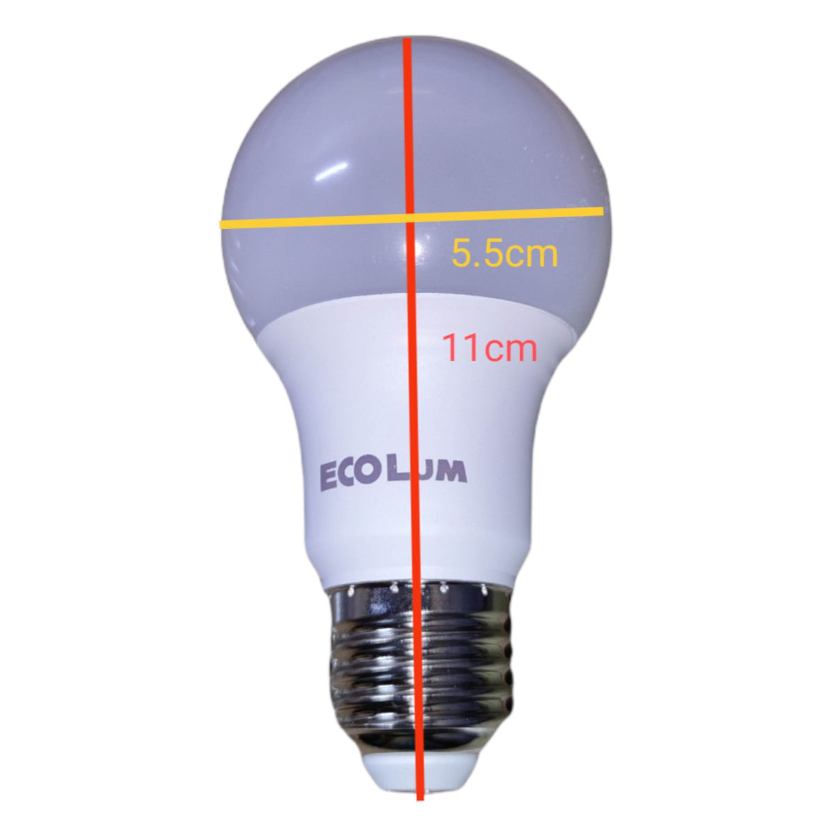 LED light bulb with measurements and 'Ecolum' branding on a white background