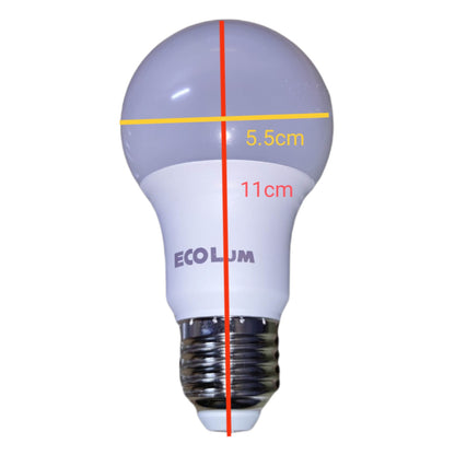 LED light bulb with measurements and 'Ecolum' branding on a white background