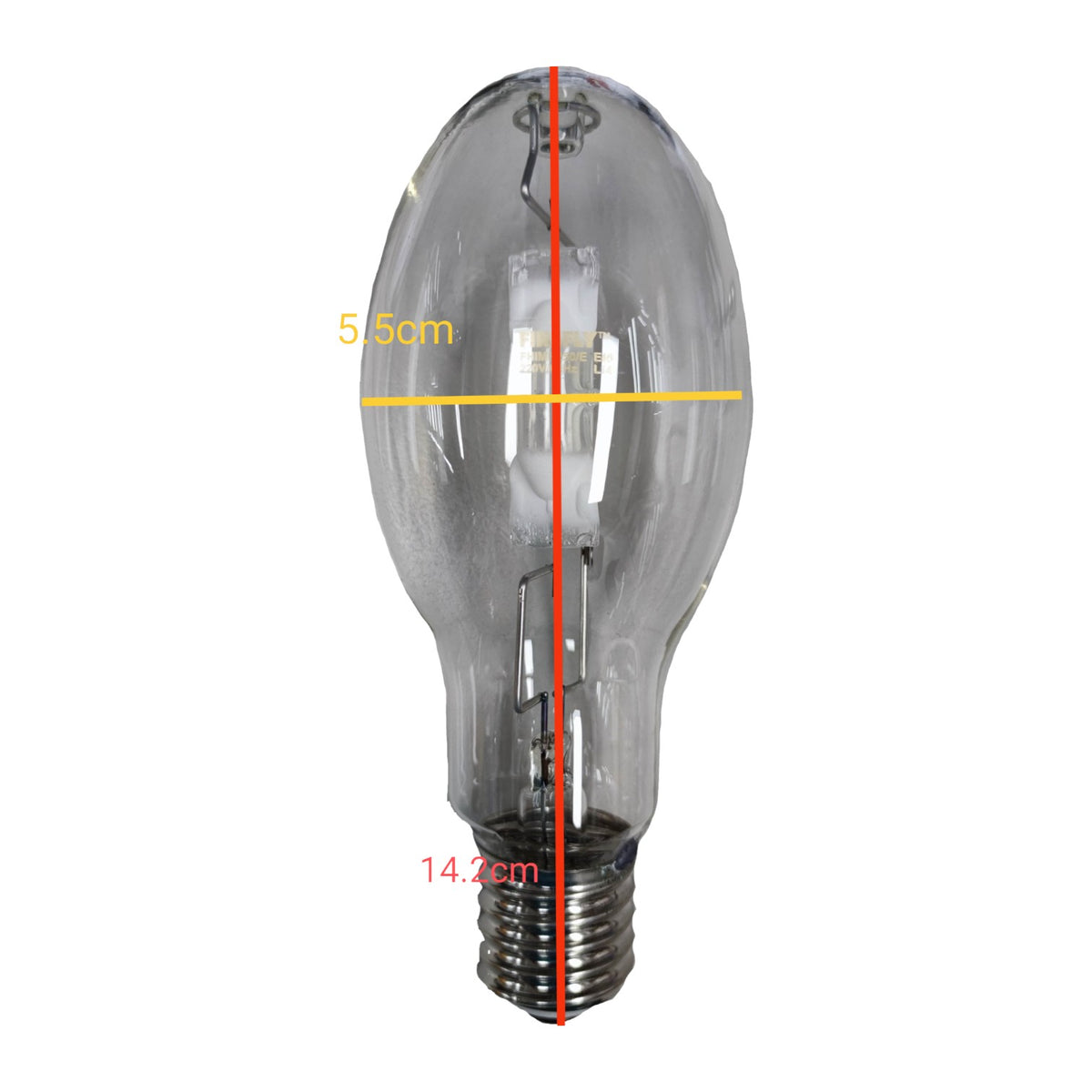 Clear light bulb with measurements on a white background