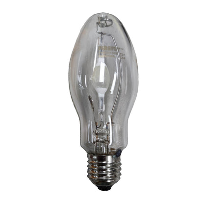 Clear light bulb with metal base on a white background