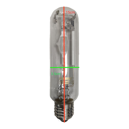 Clear light bulb with measurements on a white background