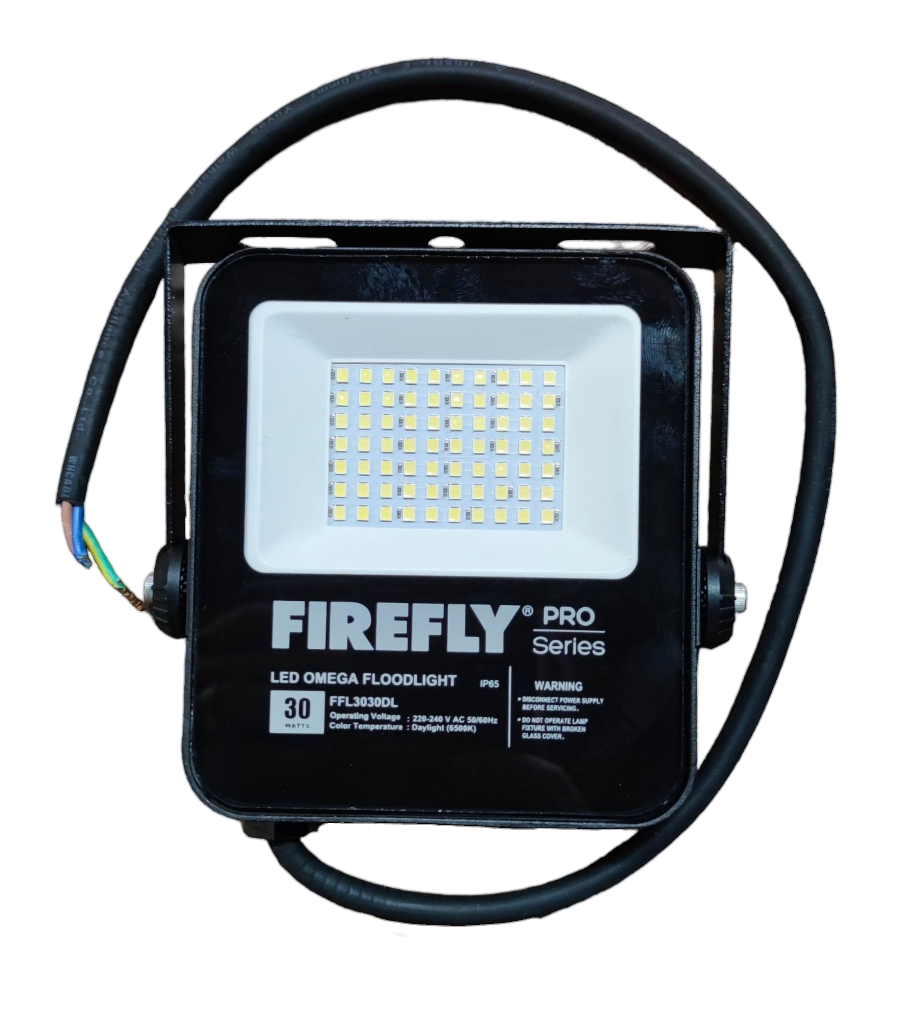 Firefly 30W LED floodlight designed for outdoor lighting with bright energy-efficient performance
