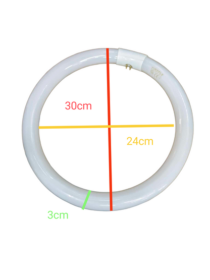 Firefly 32W Circular Fluorescent Tube Daylight 6500K Electx Electrical SUpply