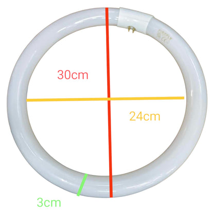Circular light bulb with measurements on a white background