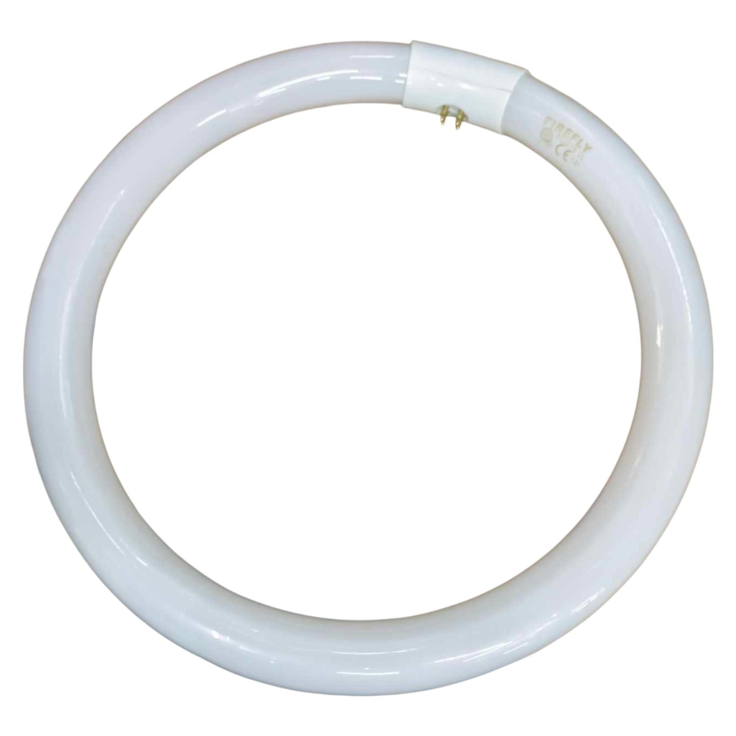 Circular white light bulb on a white background