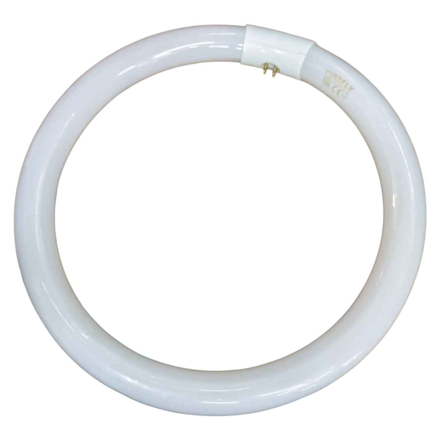 Circular white light bulb on a white background