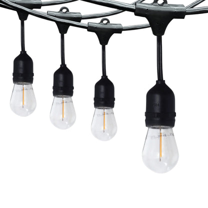 String of outdoor lights with clear bulbs and black connectors on a white background
