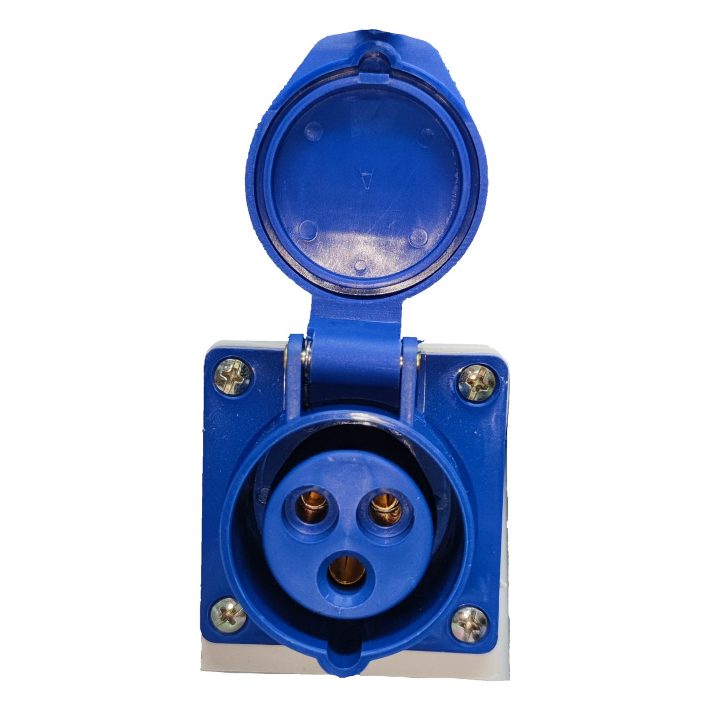 Blue electrical connector on a white background Grippes 16A 2P+E Industrial Outlet Wall Type 6h 220V ( 3 Pins ) IP44 # 113 IEC309-2 # 113 Electx Electrical Supply