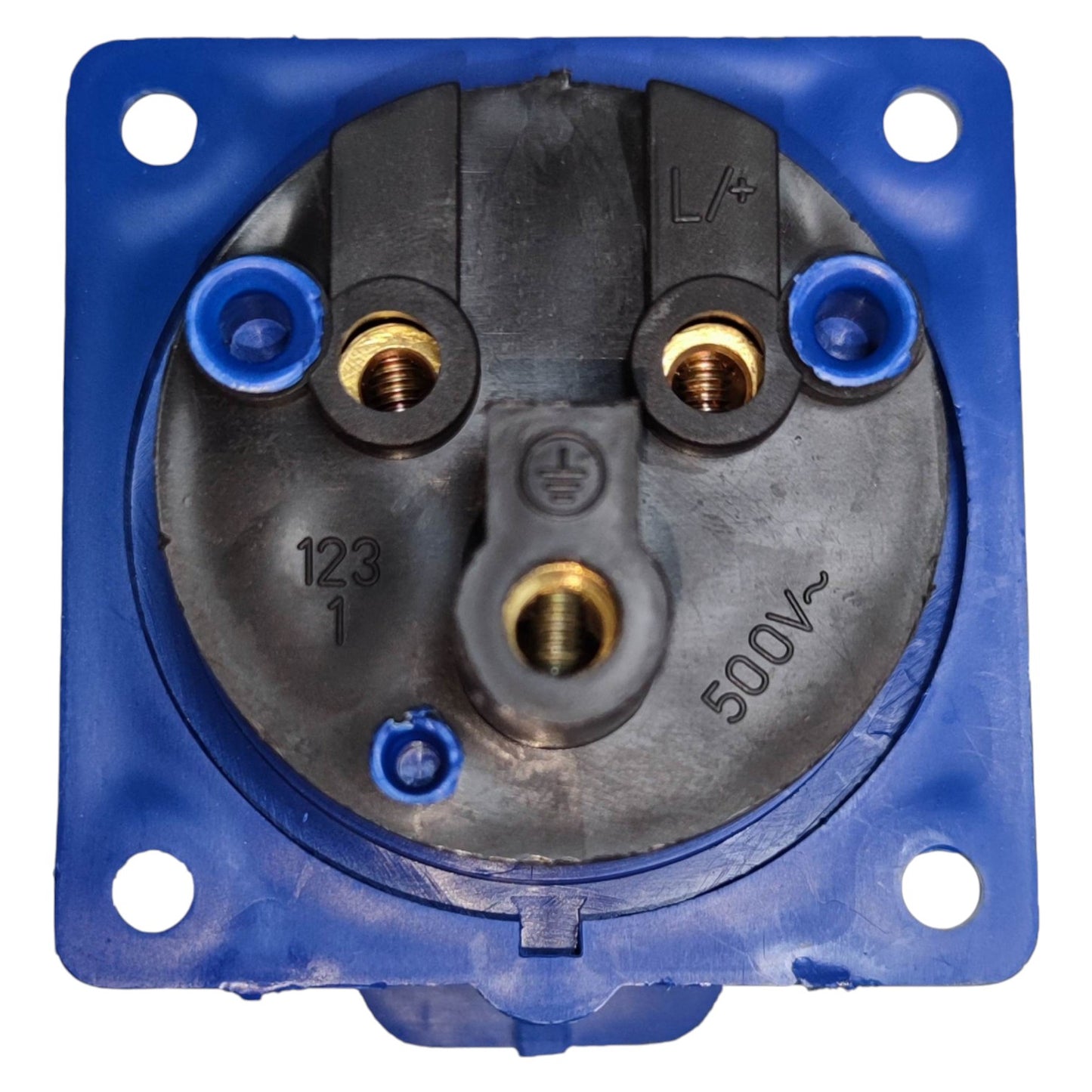 Electrical socket with blue plastic housing on a white background