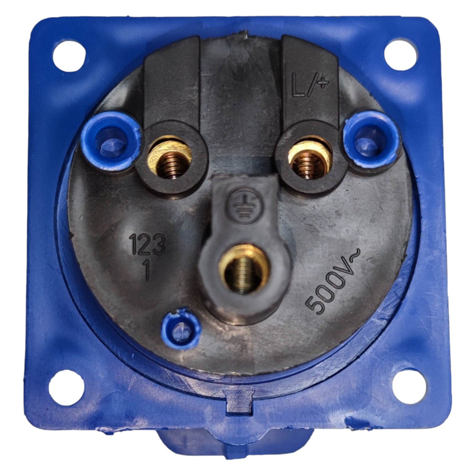 Electrical socket with blue plastic housing on a white background