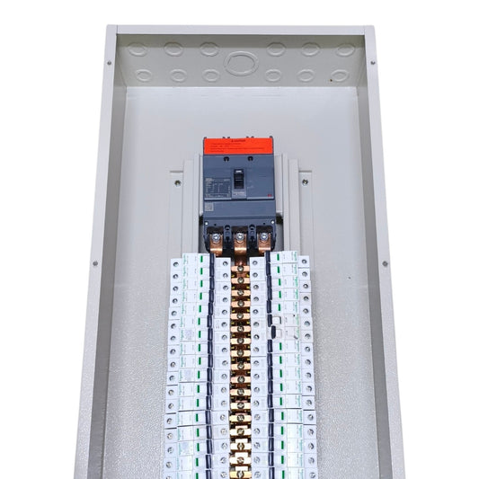 Panel Board Only Schneider Breaker Main EZC250F 250AF 3 Pole MCCB 42 Branches 1 Pole IC60N, 20 Branches 2 Pole, 14 Branches 3 Pole
