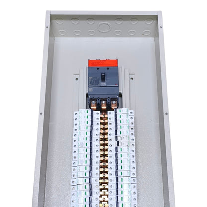 Panel Board Only Schneider Breaker Main EZC250F 250AF 3 Pole MCCB 42 Branches 1 Pole IC60N, 20 Branches 2 Pole, 14 Branches 3 Pole