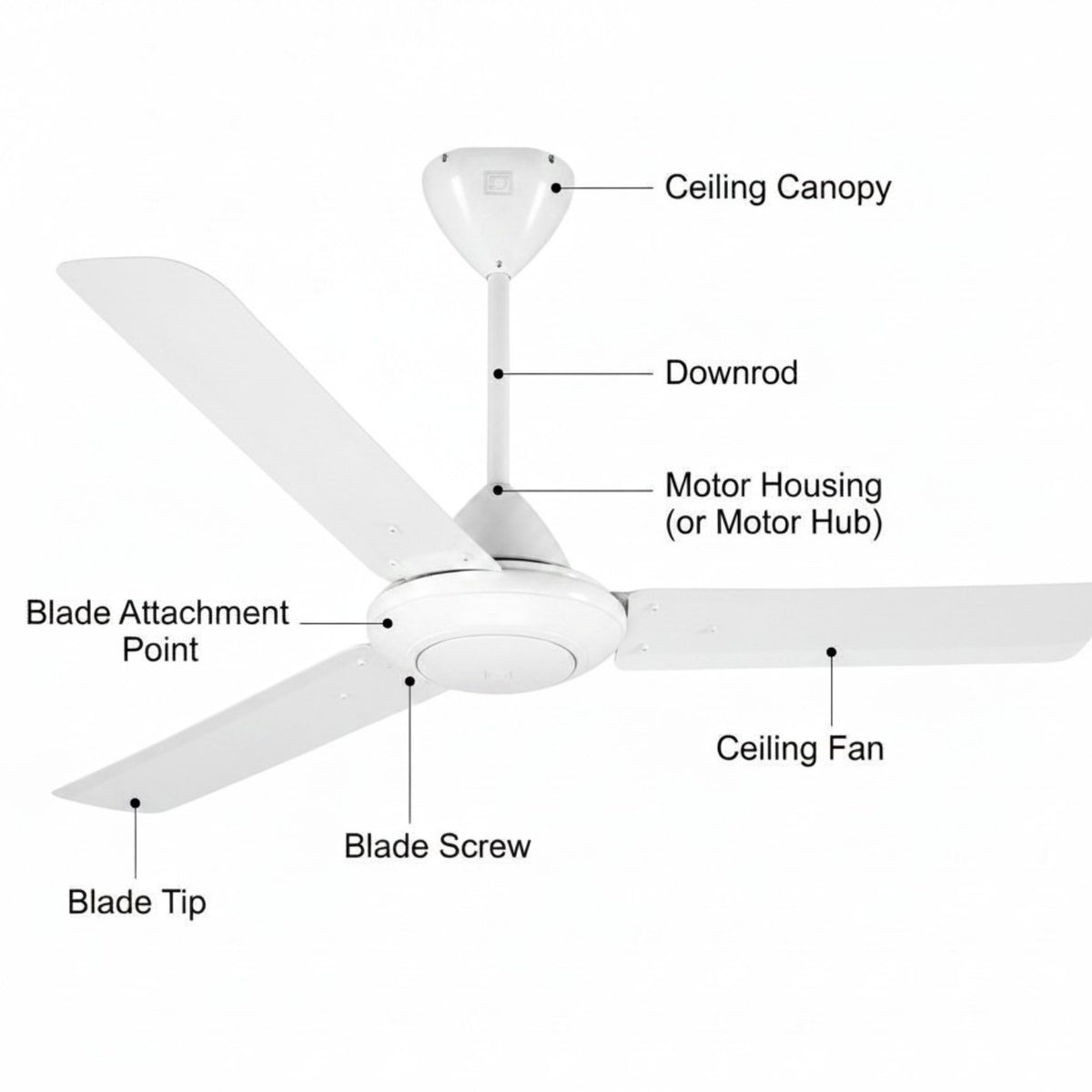 White ceiling fan labeled with parts including ceiling canopy, downrod, motor housing, blade attachment point, blade screw, blade tip, and ceiling fan, on a plain white background.
