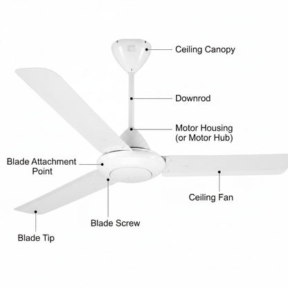 White ceiling fan labeled with parts including ceiling canopy, downrod, motor housing, blade attachment point, blade screw, blade tip, and ceiling fan, on a plain white background.