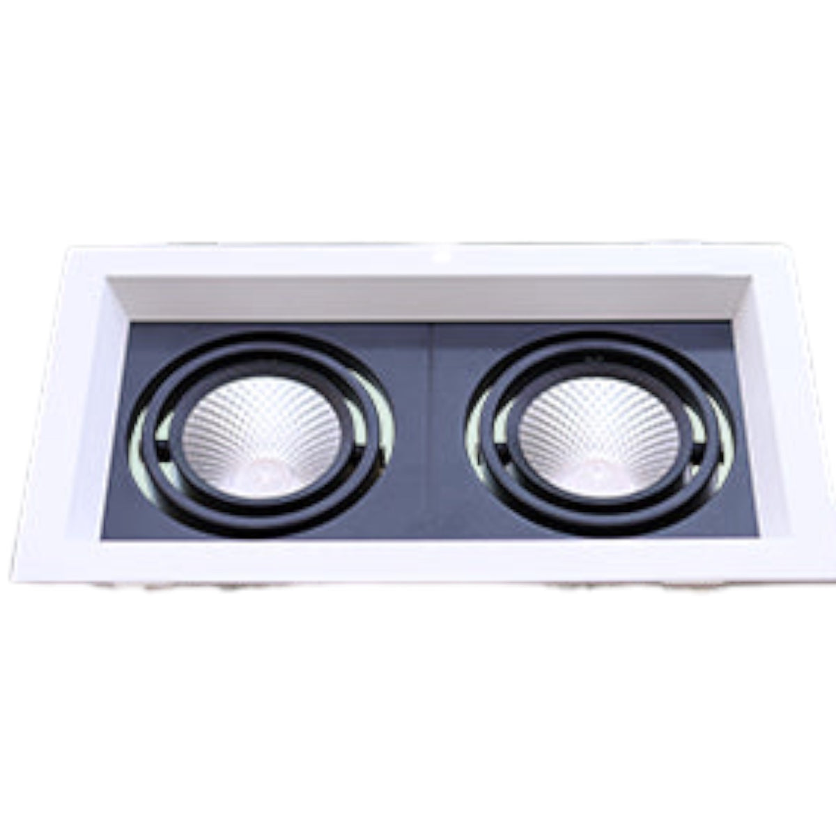 A two-light recessed ceiling fixture with square white outer frames and circular black-trimmed LED reflectors on a dark gray inner plate, shown against a plain white background.