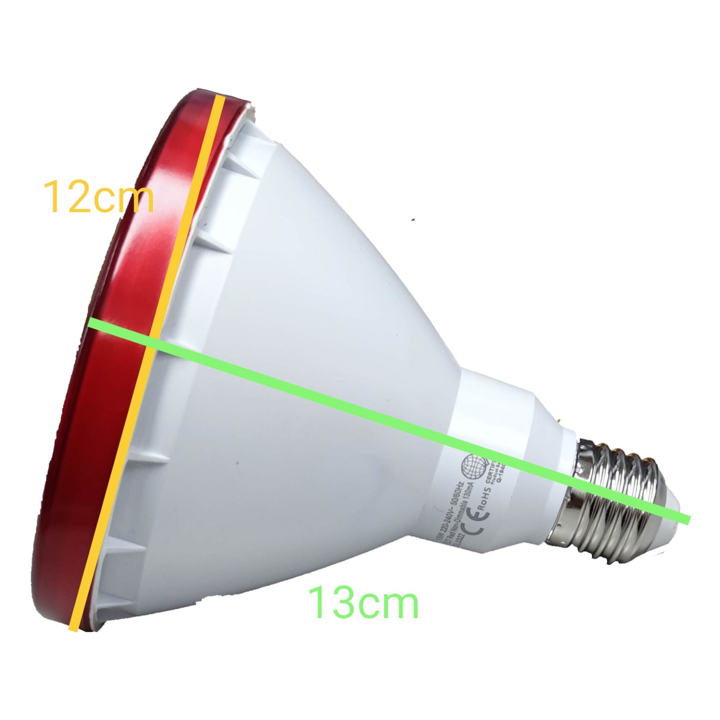Parabolic reflector light bulb with measurements on a white background