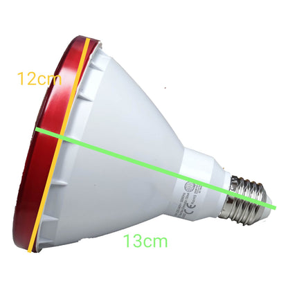 Parabolic reflector light bulb with measurements on a white background