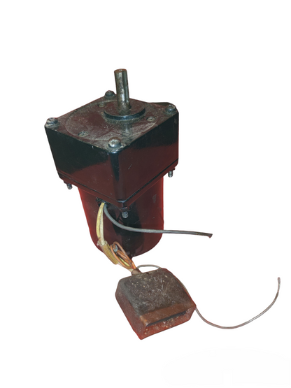 Reversible Motor 100V 25W or 15W 1250RPM electrical component with wiring from Electx Electrical Supply