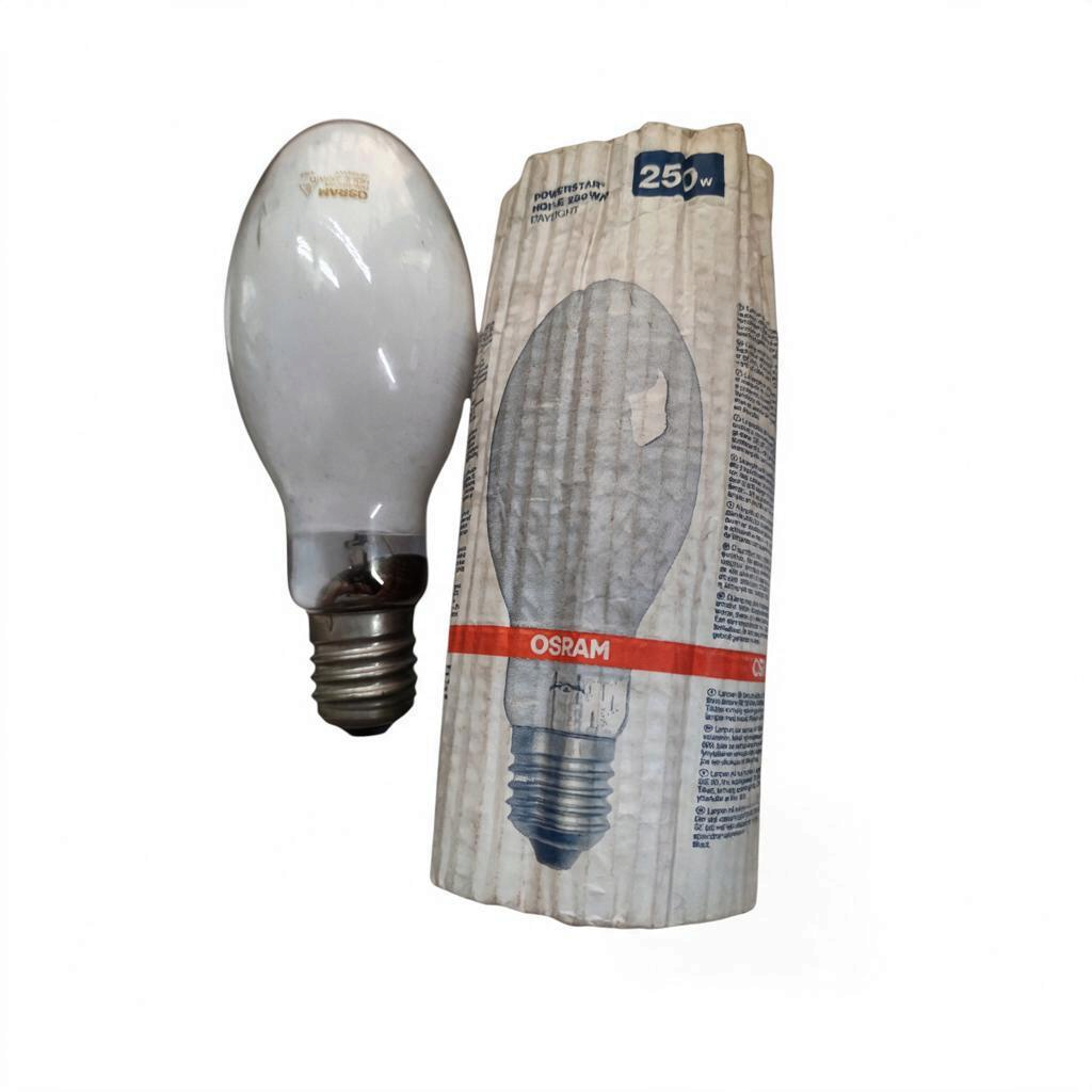 A 25W OSRAM halogen light bulb with a frosted glass envelope and screw base, shown next to its original corrugated cardboard packaging on a white background.
