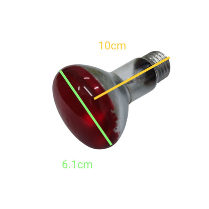 A red glass heat lamp bulb with a threaded metal base, shown on a white background with yellow and green dimension lines indicating 10cm length and 6.1cm width.