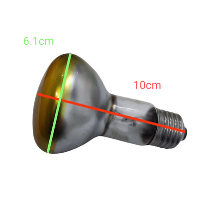 A clear glass light bulb with a reflective silver and amber-tinted head, overlaid with green and red measurement lines and text showing dimensions 6.1cm and 10cm on a white background.