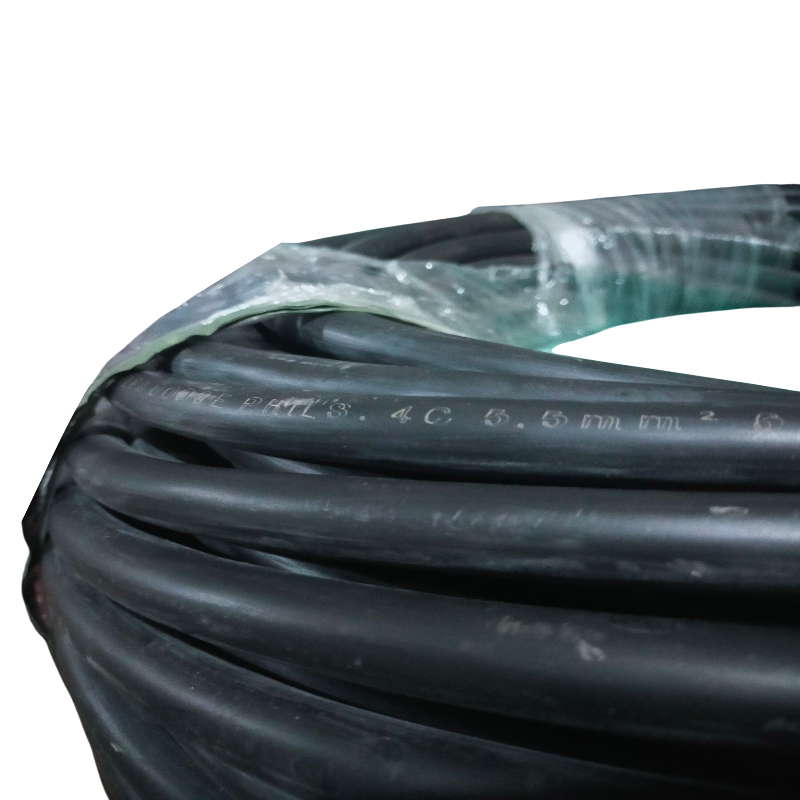 Royal Cord AWG 10 4 Core - Per Meter, durable black electrical cable coiled for easy handling.