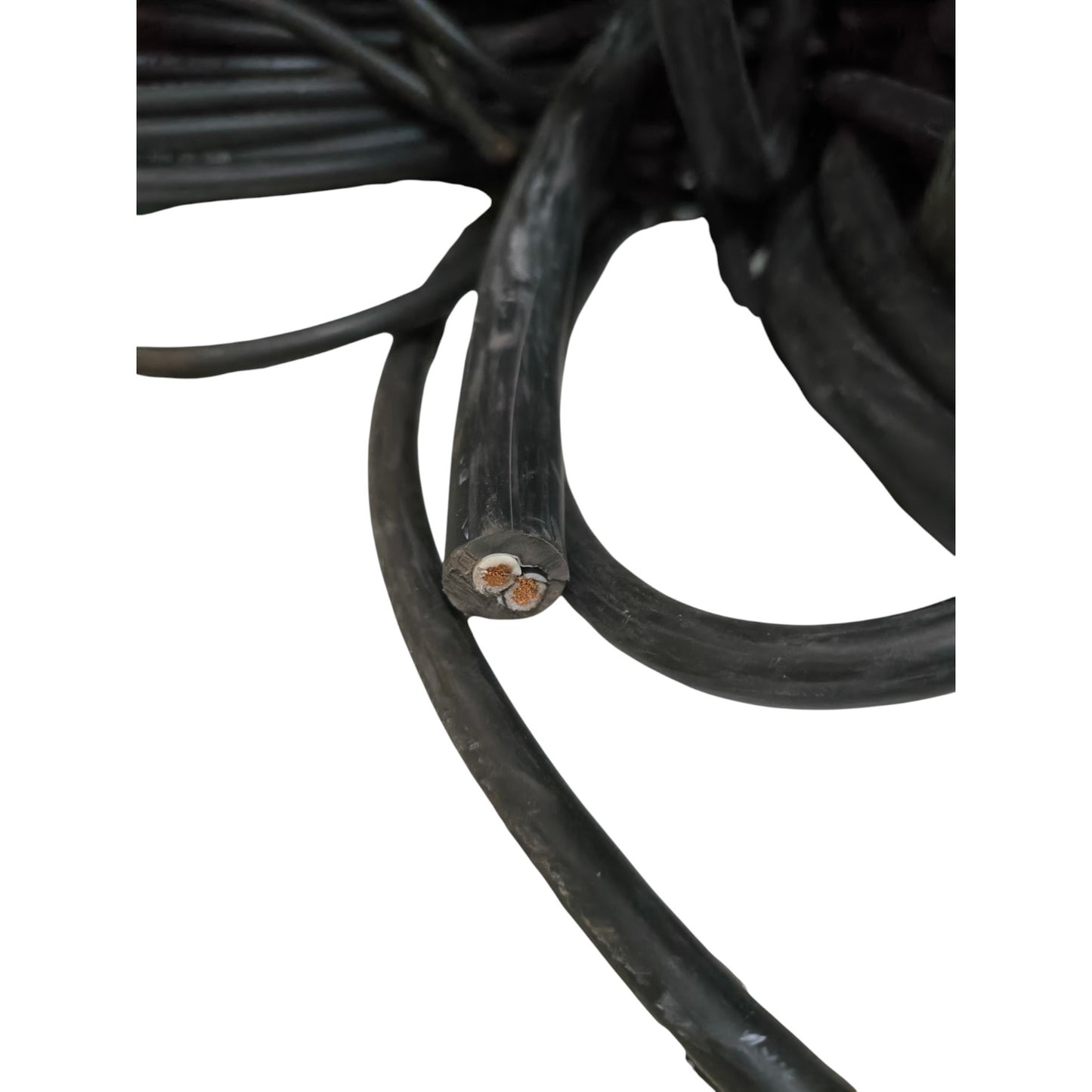 Close-up of a coiled black cable on a white background