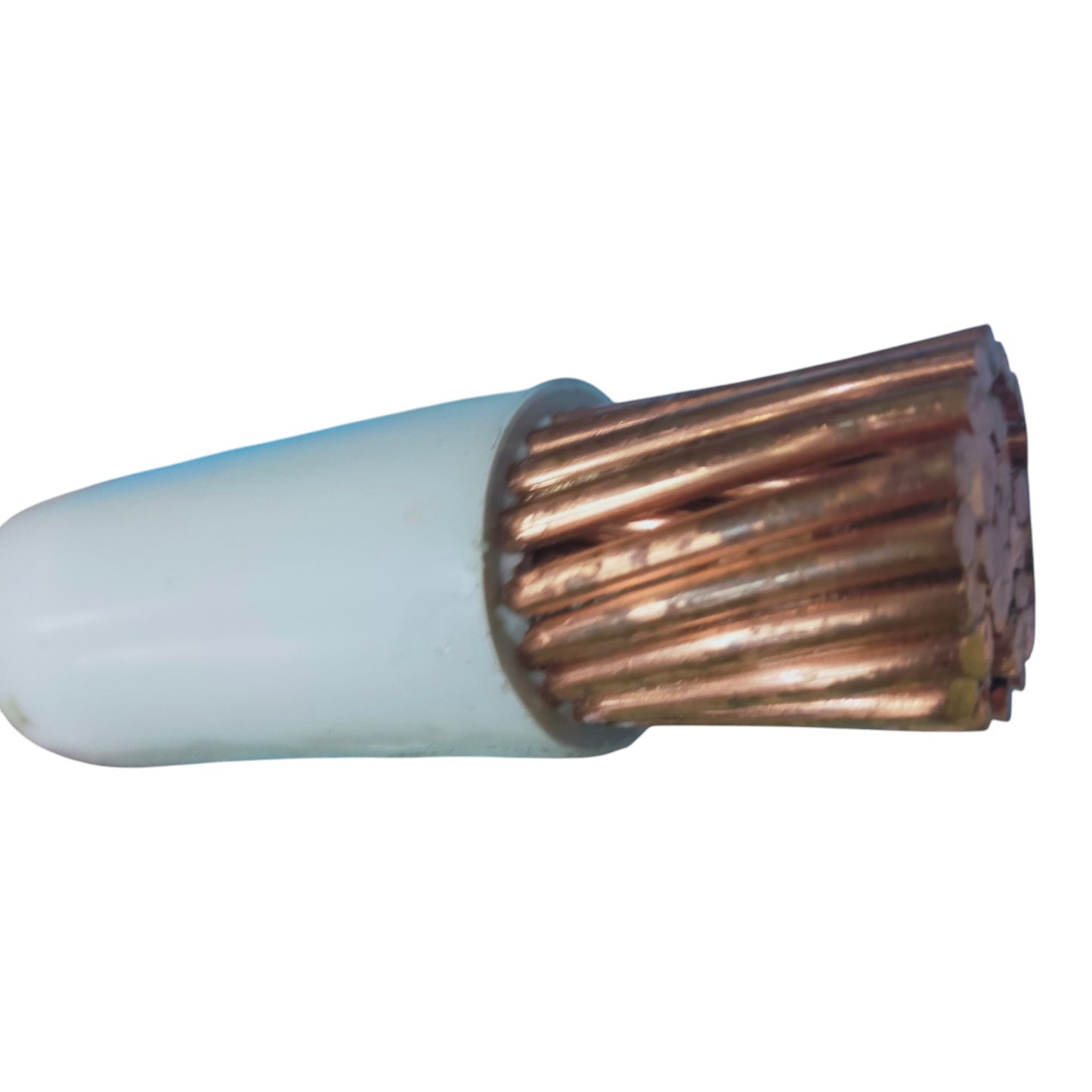 Close-up of a copper wire with insulation on a white background
